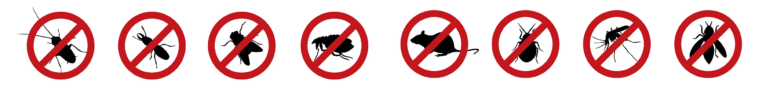 Extra Solution Kinshasa Pest Control